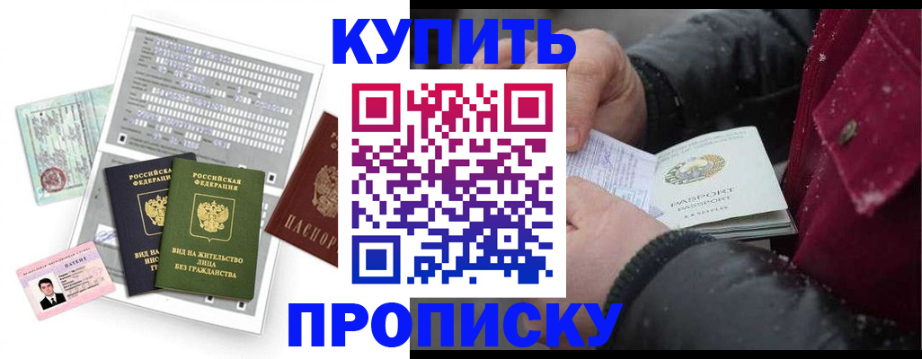 прописка поиск в Железногорске
